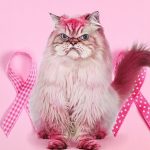 landscape-1474907769-breast-cancer-ribbons